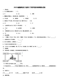 2023届昌都地区八宿县三下数学期末调研模拟试题含解析