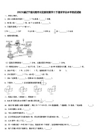 2023届辽宁省沈阳市沈北新区数学三下期末学业水平测试试题含解析