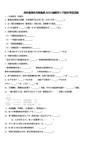 吉林省通化市辉南县2023届数学三下期末考试试题含解析