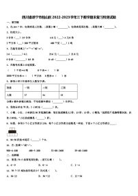 四川省遂宁市船山区2022-2023学年三下数学期末复习检测试题含解析