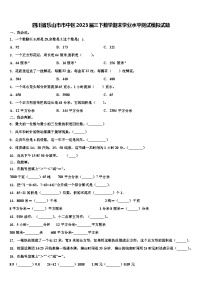 四川省乐山市市中区2023届三下数学期末学业水平测试模拟试题含解析