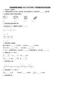 安徽省阜阳市颍泉区2022-2023学年三下数学期末综合测试试题含解析