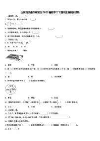 山东省济南市莱芜区2023届数学三下期末监测模拟试题含解析