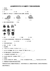 山东省潍坊市坊子区2023届数学三下期末达标检测试题含解析