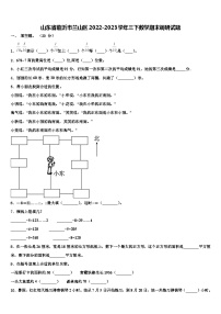 山东省临沂市兰山区2022-2023学年三下数学期末调研试题含解析