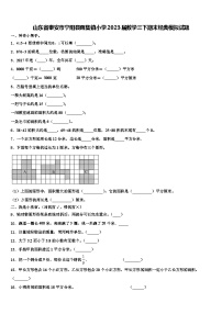 山东省泰安市宁阳县蒋集镇小学2023届数学三下期末经典模拟试题含解析