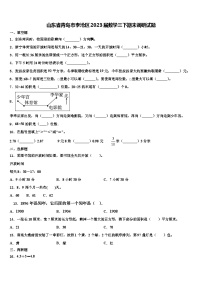 山东省青岛市李沧区2023届数学三下期末调研试题含解析