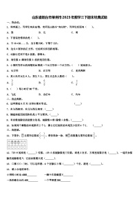 山东省烟台市莱州市2023年数学三下期末经典试题含解析