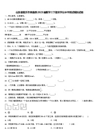 山东省临沂市莒南县2023届数学三下期末学业水平测试模拟试题含解析