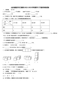 山东省临沂市兰陵县2022-2023学年数学三下期末预测试题含解析