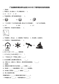 广东省惠州市惠东县平山街道2023年三下数学期末质量检测试题含解析