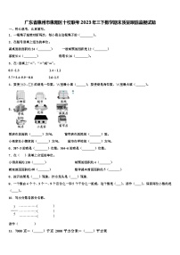 广东省惠州市惠阳区十校联考2023年三下数学期末质量跟踪监视试题含解析