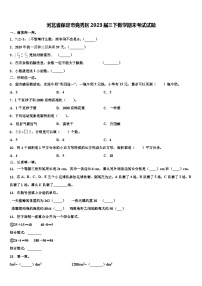 河北省保定市竞秀区2023届三下数学期末考试试题含解析