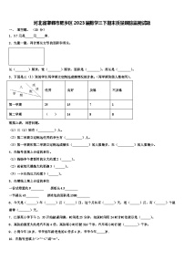 河北省邯郸市肥乡区2023届数学三下期末质量跟踪监视试题含解析