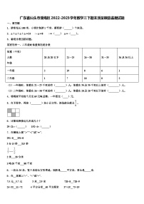 广东省汕头市澄海区2022-2023学年数学三下期末质量跟踪监视试题含解析