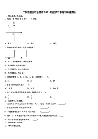 广东省韶关市乐昌市2023年数学三下期末调研试题含解析