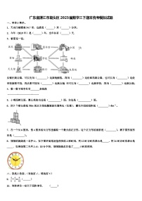 广东省湛江市坡头区2023届数学三下期末统考模拟试题含解析