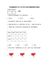 河北省秦皇岛市2022-2023学年三年级下册数学期末专项练习（含解析）