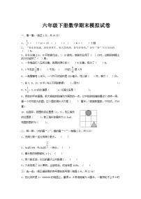 人教版六年级下册数学期末模拟试卷（13）