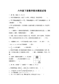 人教版六年级下册数学期末模拟试卷（14）