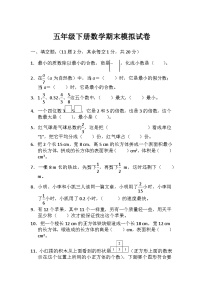 人教版五年级下册数学期末模拟试卷（6）