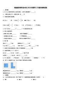 河南省郑州市金水区2023年数学三下期末调研试题含解析