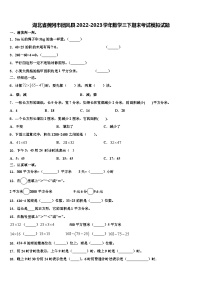 湖北省黄冈市团风县2022-2023学年数学三下期末考试模拟试题含解析