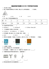 湖南省常德市临澧县2023年三下数学期末考试试题含解析