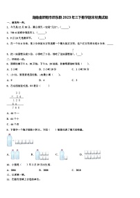 湖南省邵阳市邵东县2023年三下数学期末经典试题含解析