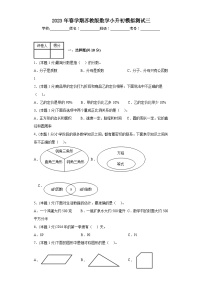 小升初模拟测试（试题）-六年级下册数学苏教版+