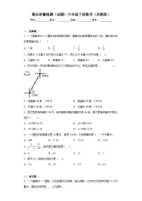 期末质量检测（试题）-六年级下册数学苏教版