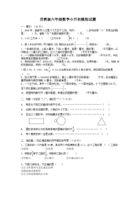 小升初模拟（试题）-六年级下册数学苏教版