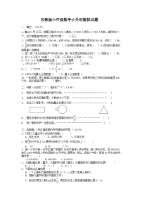 小升初模拟试题（试卷）-六年级下册数学+苏教版