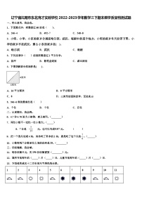 辽宁省沈阳市东北育才实验学校2022-2023学年数学三下期末教学质量检测试题含解析