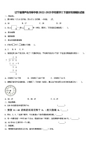 辽宁省葫芦岛市绥中县2022-2023学年数学三下期末检测模拟试题含解析