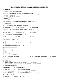 重庆市石柱土家族自治县2023届三下数学期末检测模拟试题含解析