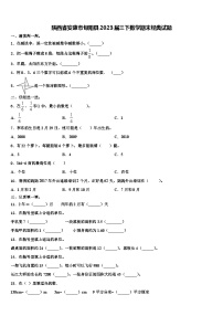 陕西省安康市旬阳县2023届三下数学期末经典试题含解析