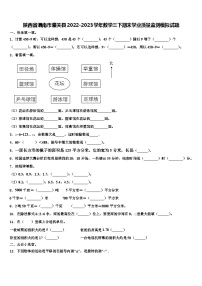 陕西省渭南市潼关县2022-2023学年数学三下期末学业质量监测模拟试题含解析