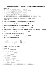 陕西省西安市碑林区工大附小2023年三下数学期末质量跟踪监视试题含解析