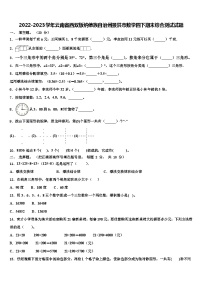 2022-2023学年云南省西双版纳傣族自治州景洪市数学四下期末综合测试试题含解析