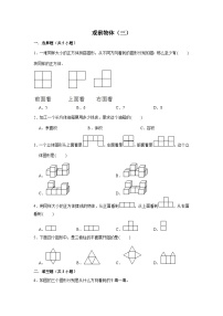 期末专题练习 观察物体（三）（试题）五年级下册数学 人教版