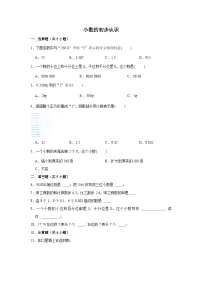 期末专题练习 小数的初步认识（试题）三年级下册数学 人教版