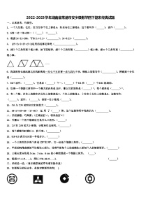 2022-2023学年湖南省常德市安乡县数学四下期末经典试题含解析