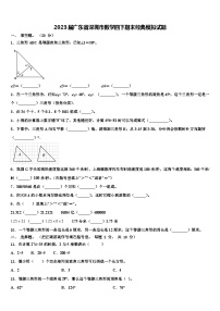 2023届广东省深圳市数学四下期末经典模拟试题含解析