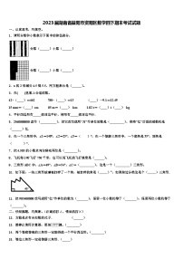 2023届湖南省益阳市资阳区数学四下期末考试试题含解析