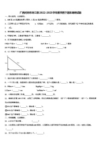 广西河池市环江县2022-2023学年数学四下期末调研试题含解析