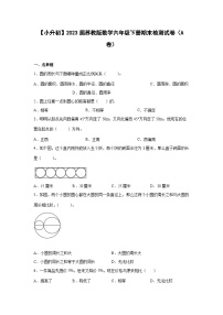 【小升初】2023届苏教版数学六年级下册期末检测试卷（A卷）含解析