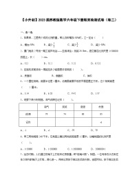 【小升初】2023届苏教版数学六年级下册期末检测试卷（卷二）含解析