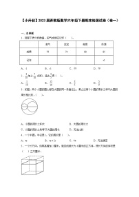 【小升初】2023届苏教版数学六年级下册期末检测试卷（卷一）含解析