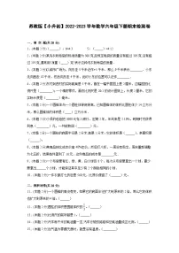 苏教版【小升初】2022-2023学年数学六年级下册期末检测卷（含解析）
